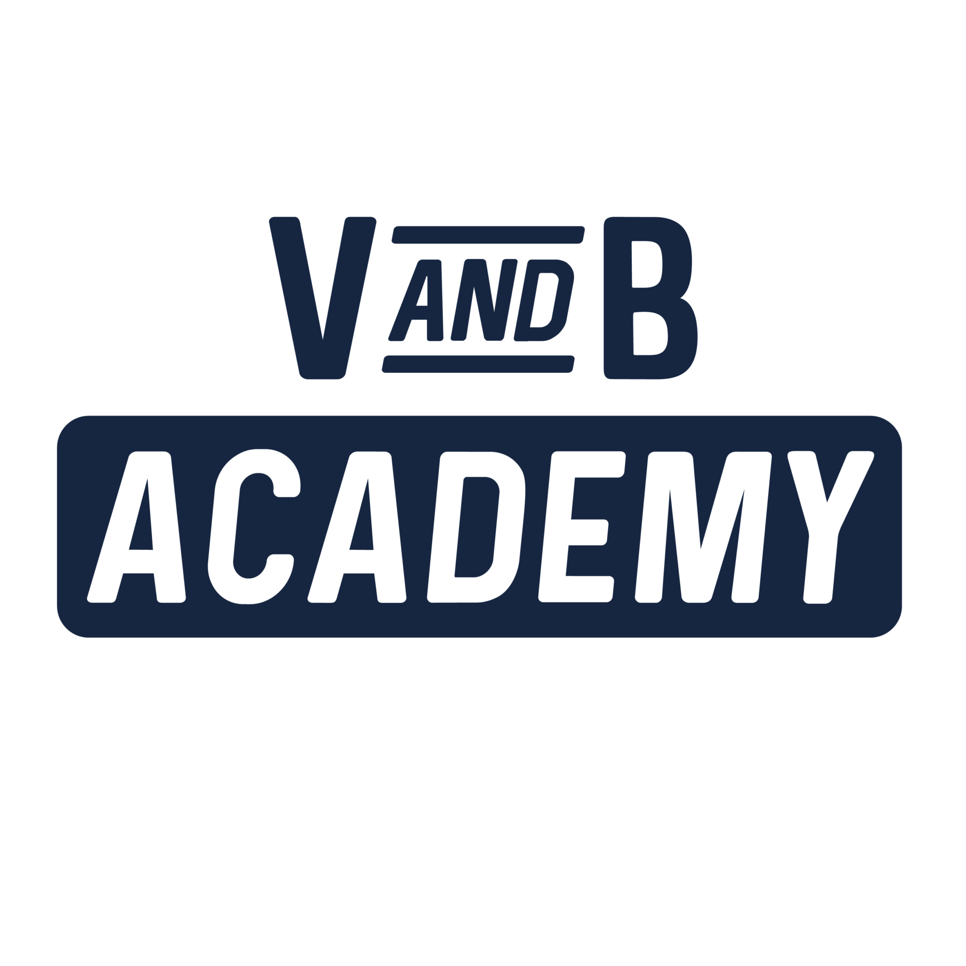Logo V and B academy couleur