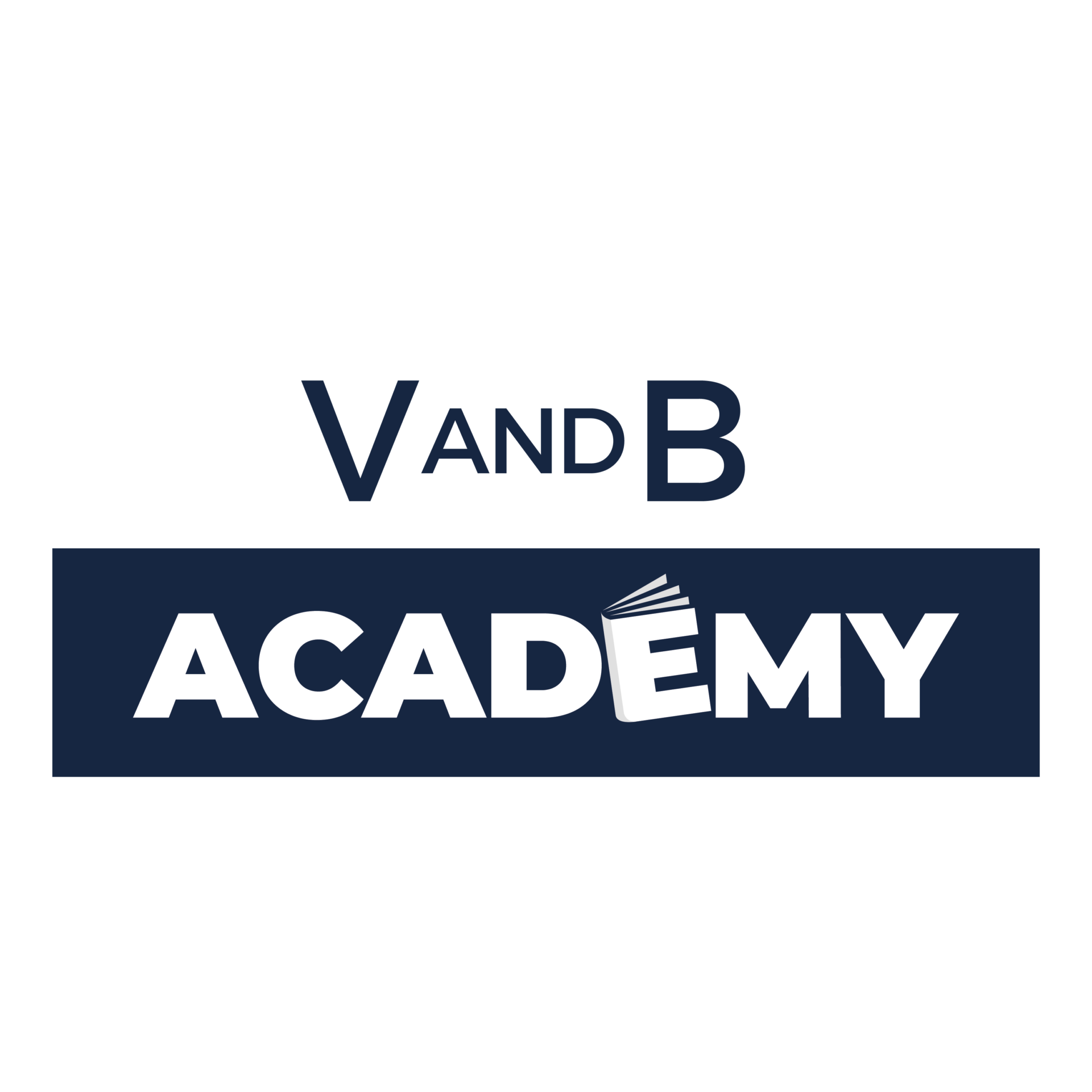 Logo couleur V and B academy (V)